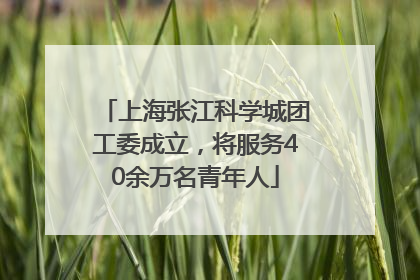 上海张江科学城团工委成立，将服务40余万名青年人
